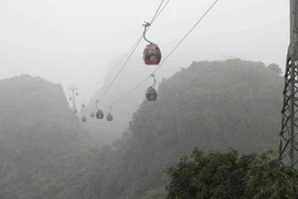 Lý do cáp treo không rung lắc bởi gió