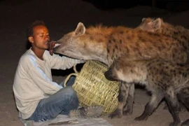 Nuôi thú cưng khiến nhiều loài tuyệt chủng