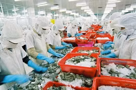 Xuất khẩu tôm năm 2020 tăng trưởng trên 12%