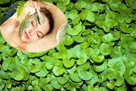 Trị sẹo rỗ bằng nguyên liệu tự nhiên