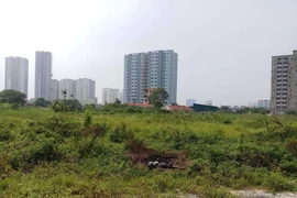 Tham gia đấu giá đất Hà Nội phải đặt trước 20% giá khởi điểm