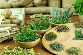 Tỳ, can, thận hư tổn gây chứng động kinh