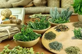 Tỳ, can, thận hư tổn gây chứng động kinh