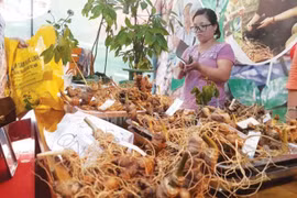 Cuộc “cách mạng” nơi huyện nghèo nhất nước