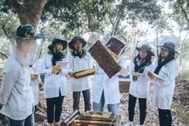 PGS.TS Phạm Hồng Thái: Đưa công nghệ 4.0 vào chăn nuôi ong 