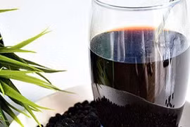 Những người nào không nên dùng nước đậu đen?