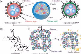 Công nghệ nano tạo bước tiến mới trong điều trị đái tháo đường