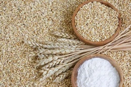 Vitamin B1 quan trọng đối với hệ thần kinh 