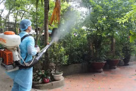 Nên phun thuốc diệt muỗi vào buổi sáng