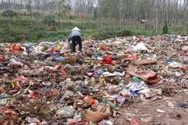 Môi trường ô nhiễm gây biến đổi gen