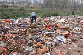 Môi trường ô nhiễm gây biến đổi gen