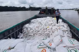 Bộ Tài chính: Đề xuất dán tem điện tử truy xuất nguồn gốc mặt hàng đường cát