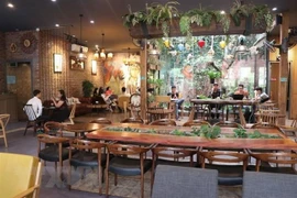 (Ảnh minh họa: Mạnh Minh/TTXVN)