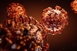 Kháng thể đơn dòng ở người có thể ngăn SARS-CoV-2 