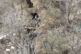 Cuộc cận chiến giữa tổ xung kích Luhansk và một chiến binh Ukraine