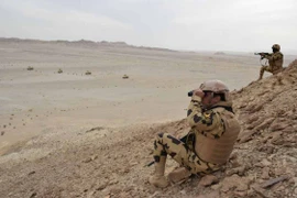 Video Quân đội Ai Cập tiêu diệt 89 tay súng khủng bố trên bán đảo Sinai