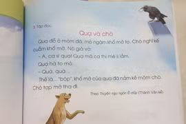 Sửa sách Tiếng Việt 1, Cánh Diều: Không thể sửa vội theo kiểu nhặt mấy hạt sạn