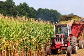  Dự báo năng suất cây trồng qua ảnh vệ tinh