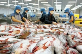 Xuất khẩu cá tra sang EU vẫn tiếp tục đà giảm