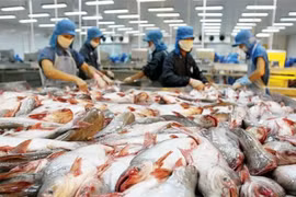 Xuất khẩu cá tra sang EU vẫn tiếp tục đà giảm