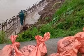 Lực lượng phòng, chống lụt bão huyện Tiền Hải và xã Nam Hồng khắc phục đoạn đê sạt lở. Ảnh: TD