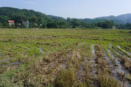 Lại bán dự án 'ma'