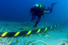 Việc sửa chữa cáp quang thường kéo dài nhiều tuần, do vị trí gặp lỗi cách xa bờ biển hàng trăm km. Ảnh minh họa.