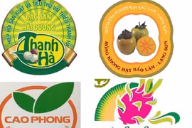 Điều kiện được bảo hộ chỉ dẫn địa lý