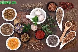 Các phương thuốc điều trị sỏi đường mật