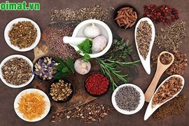 Các phương thuốc điều trị sỏi đường mật