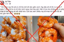 Hà Nội: Xử lý nghiêm tin giả, tin sai sự thật về dịch bệnh Covid-19