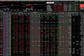 Lỗ lũy kế, cổ phiếu Hoàng Anh Gia Lai tiếp tục bị cảnh báo