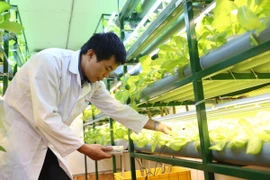 Đèn chuyên dụng điều khiển cây sinh trưởng theo ý muốn