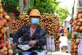 Bắc Giang: Nông dân kêu trời vì giá vải thiều lên xuống thất thường