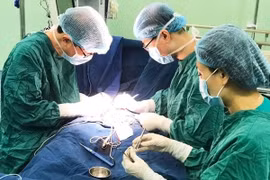 Nên tạo hình dị tật lỗ tiểu thấp cho trẻ từ sớm