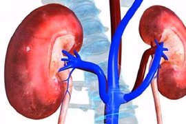 Suy thận độ 1 và những điều bạn cần biết để kiểm soát bệnh hiệu quả