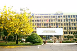 Sắp xếp, tổ chức lại hệ thống trường sư phạm