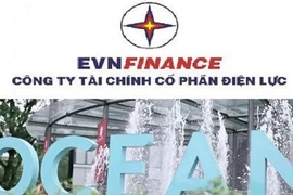 EVN bán được gần 87% số cổ phần EVNFINANCE