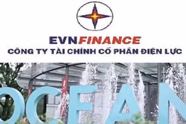EVN bán được gần 87% số cổ phần EVNFINANCE