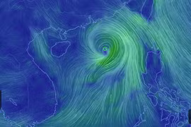 Bão gây sóng cao đến 5 mét, khẩn cấp hướng dẫn tàu thuyền tránh bão