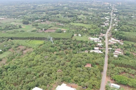 Gian nan giải tỏa mặt bằng sân bay Long Thành