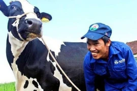 Tin đồn trên mạng xã hội: Biến tướng của truyền thông bất lương?