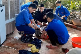 Trường Cao đẳng Kỹ thuật Việt - Đức Hà Tĩnh: Sửa chữa xe máy, đồ điện gia dụng miễn phí cho người dân