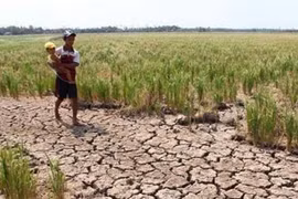 Hết chu kỳ La Nina, khô hạn gay gắt hơn