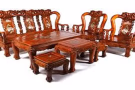 Các loại gỗ dễ bị mọt tấn công