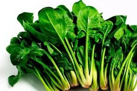  Tăng cường chức năng gan cho trẻ