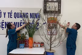 Tất niên trong bệnh viện dã chiến