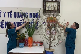 Tất niên trong bệnh viện dã chiến