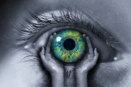 Mắt của người đã chết vẫn phản ứng được với ánh sáng? 