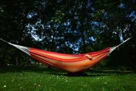 Vỡ xương não vì võng mắc hờ